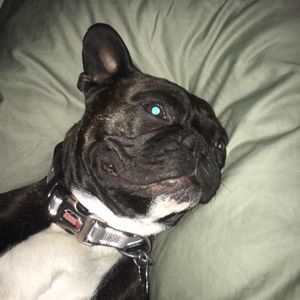 Meet your Posher, Logan